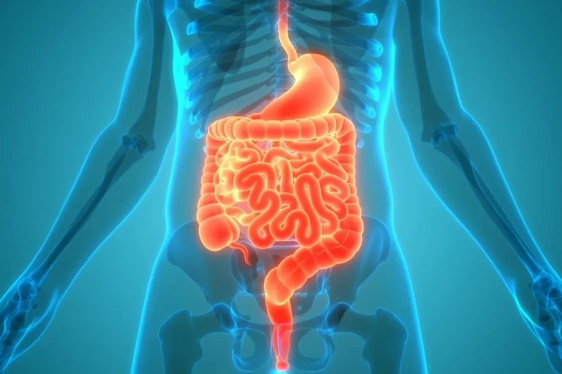 Traitement des infections gastro-intestinales